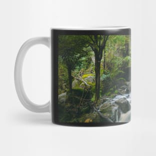 Kurth Kiln Shiprock Falls, Gembrook Mug